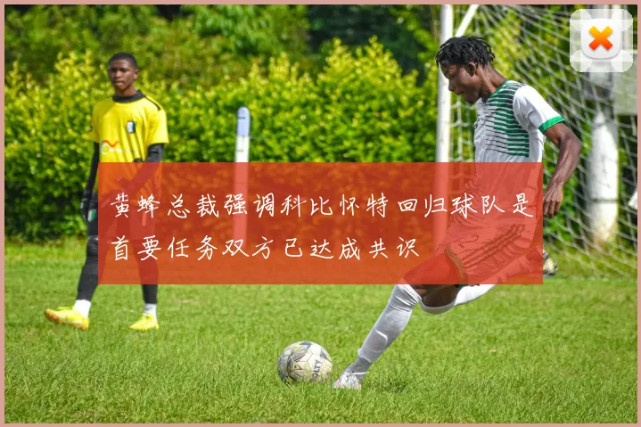 黄蜂总裁强调科比怀特回归球队是首要任务双方已达成共识