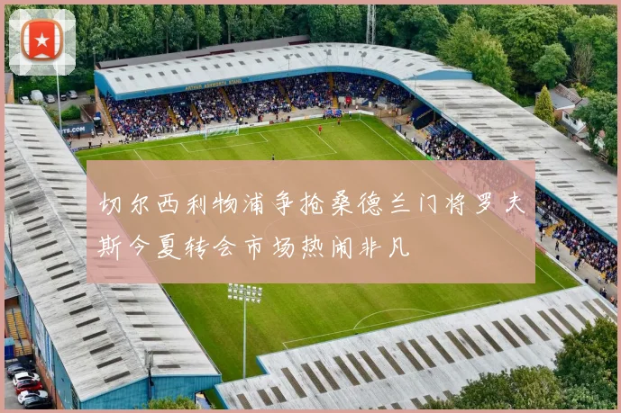 切尔西利物浦争抢桑德兰门将罗夫斯今夏转会市场热闹非凡